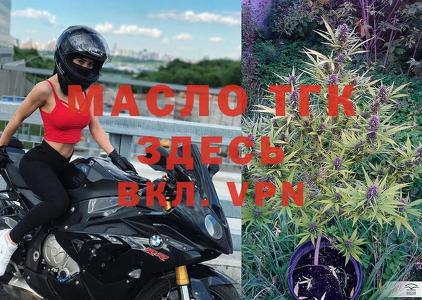 мяу мяу мука Гусев