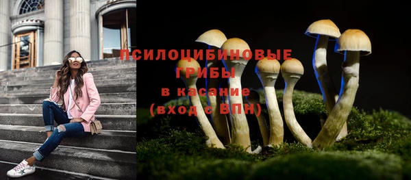 mdpv Гусь-Хрустальный