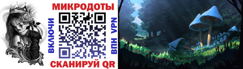 Купить где  Бор  Псилоцибиновые грибы Psilocybe 